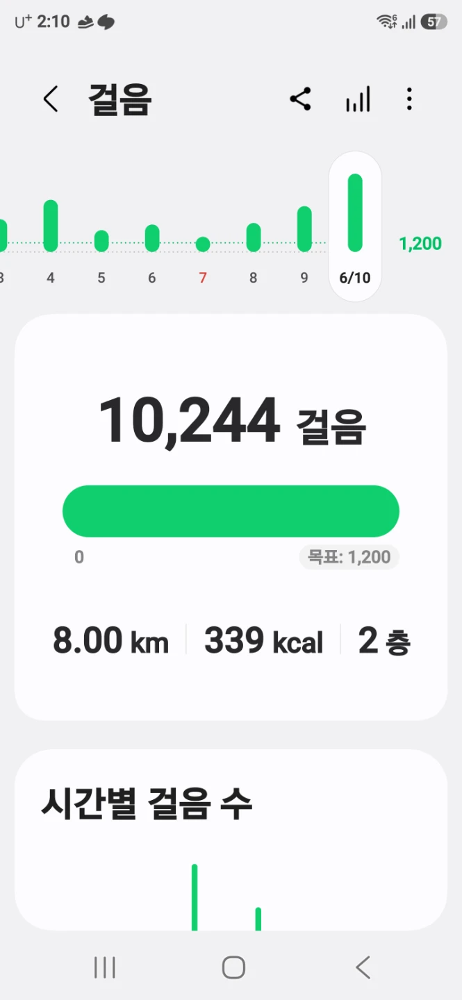 운동