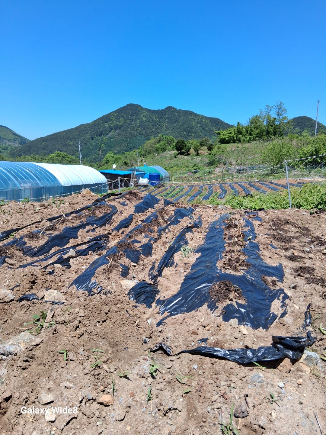 맘카페 소통, 덕산맘 모여라! 🗣️