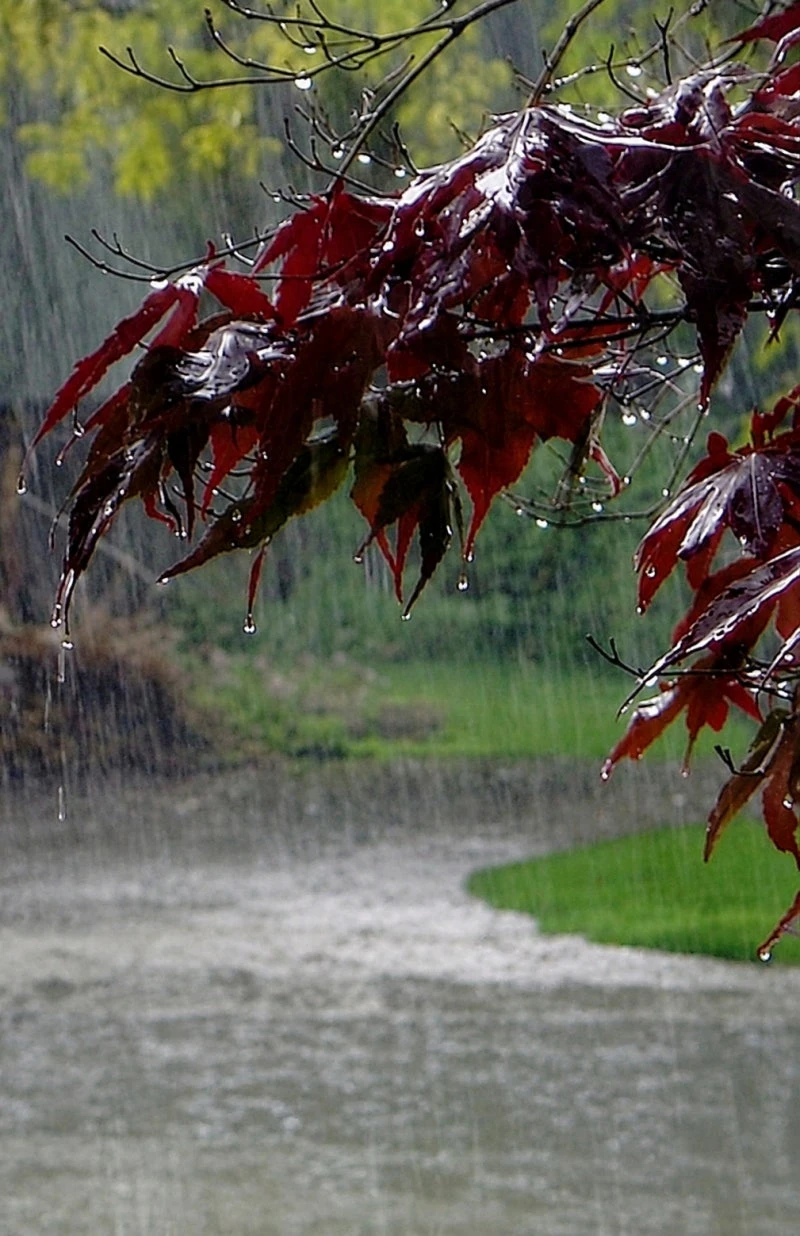 2026년  장마, 미리 준비해요☔️