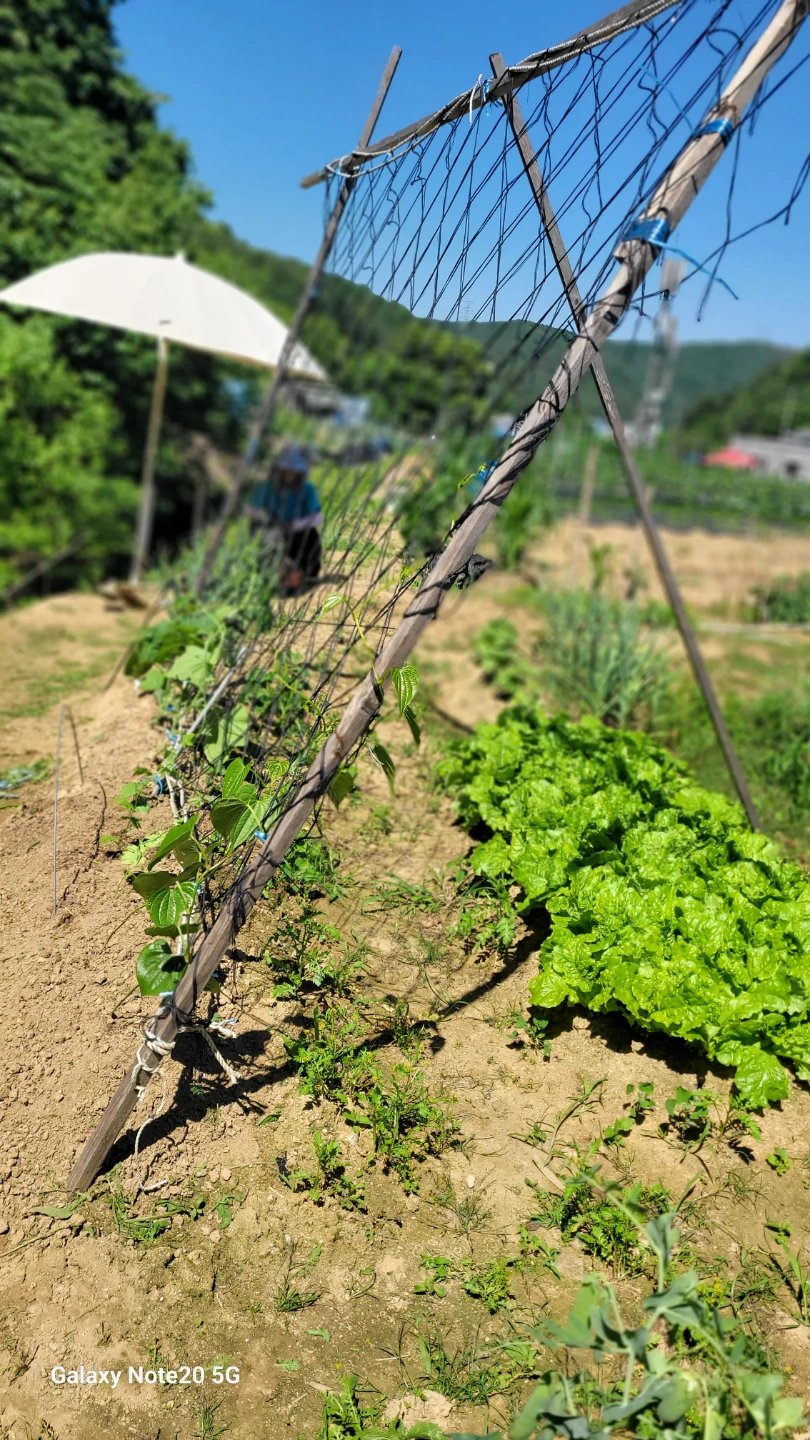 나도 도시의 농부