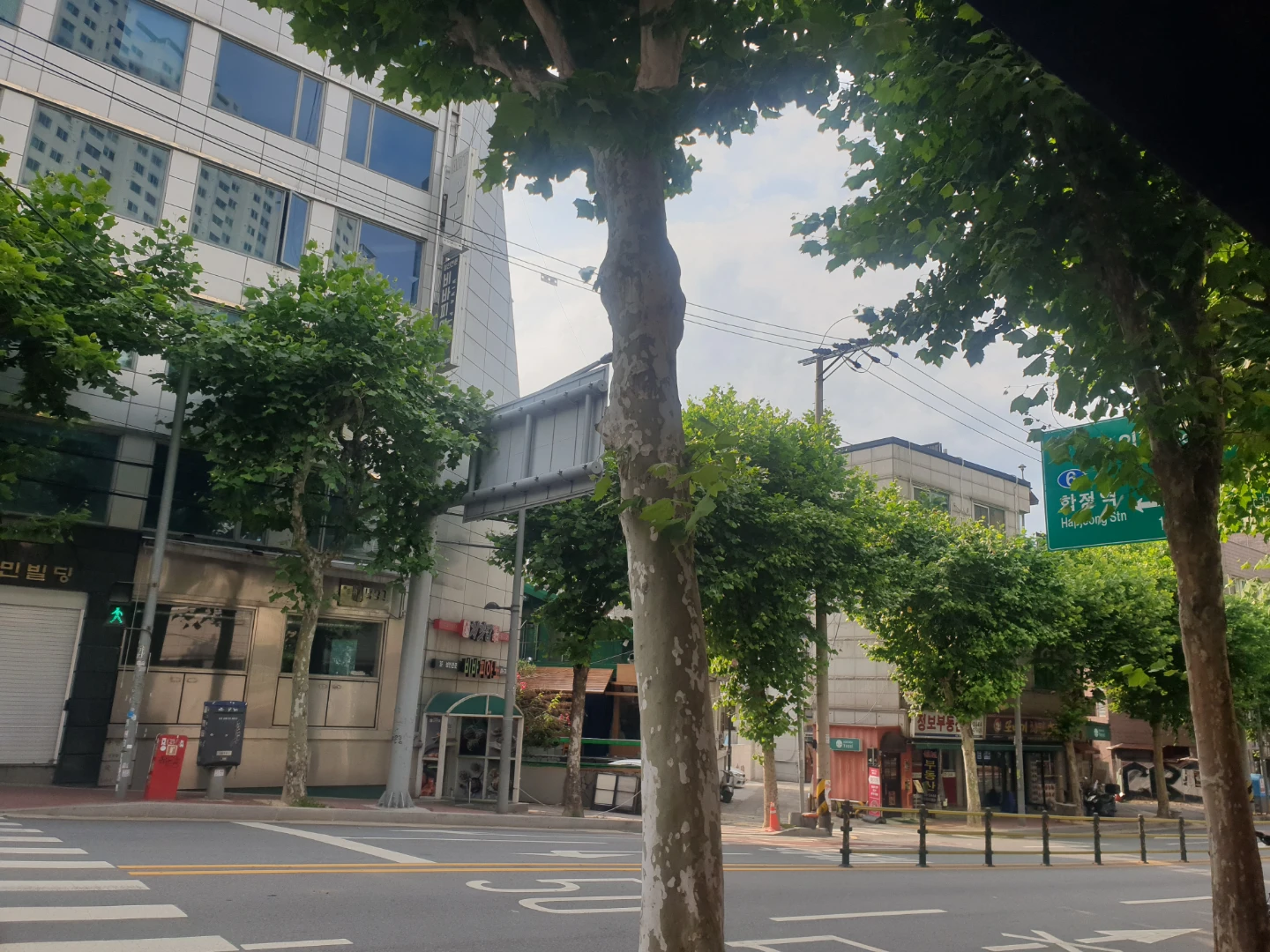 제가 제일 편안해하고 좋아하는 카페입니다~🌼🌿