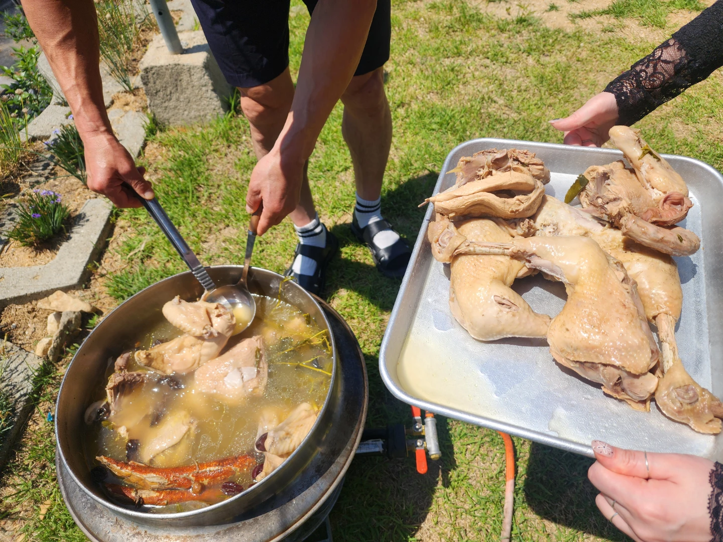 텃밭에서 주말밥상 (닭삶아먹기)