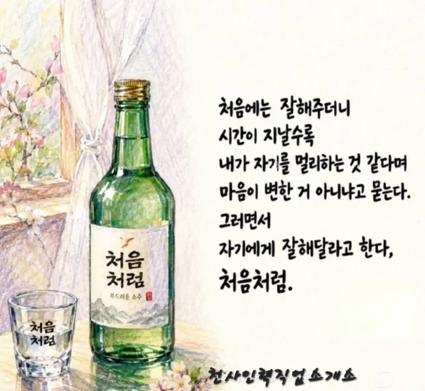 처음처럼