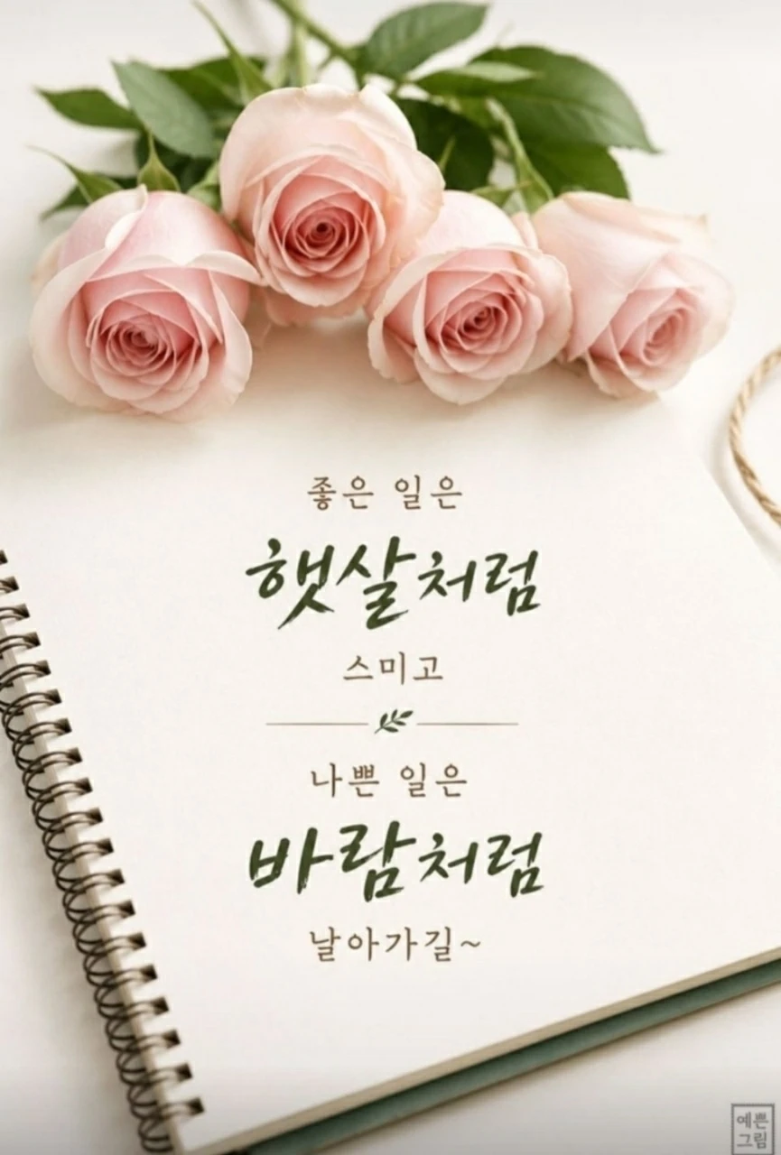6월 시작