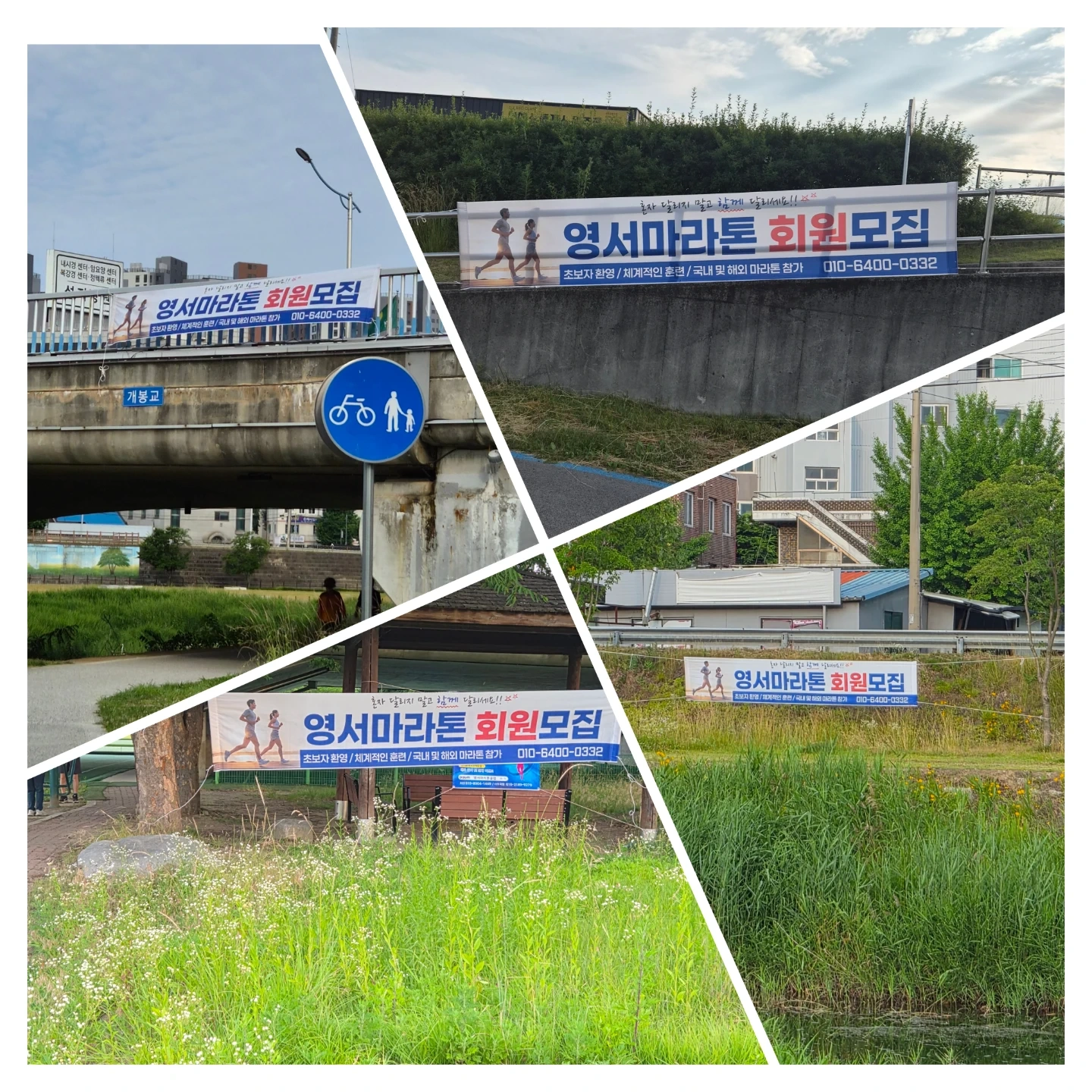 영서마라톤클럽 회원모집 | 당근 모임