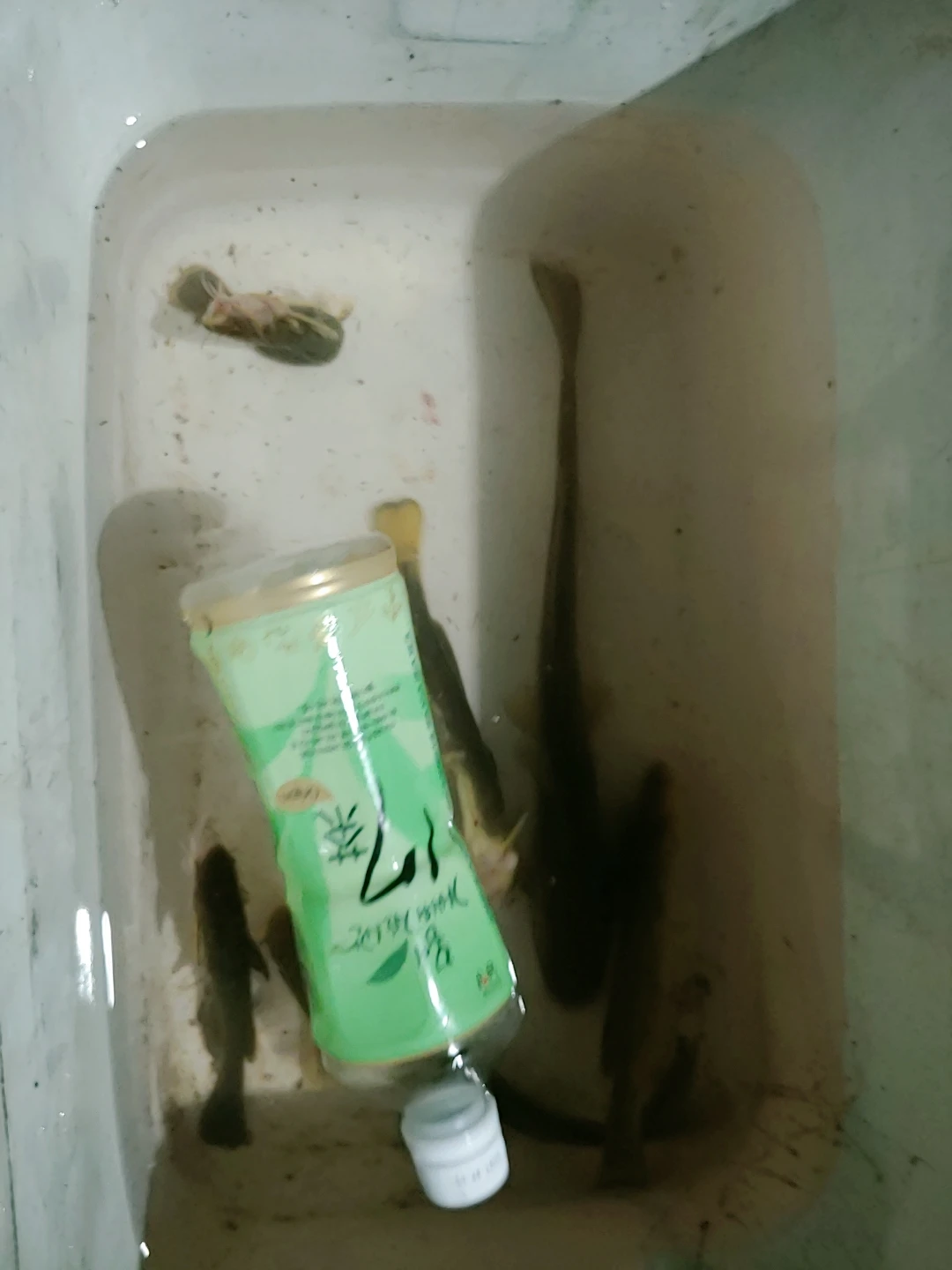 양평 (노지.양어장)낚시정보 공유방 | 당근 모임