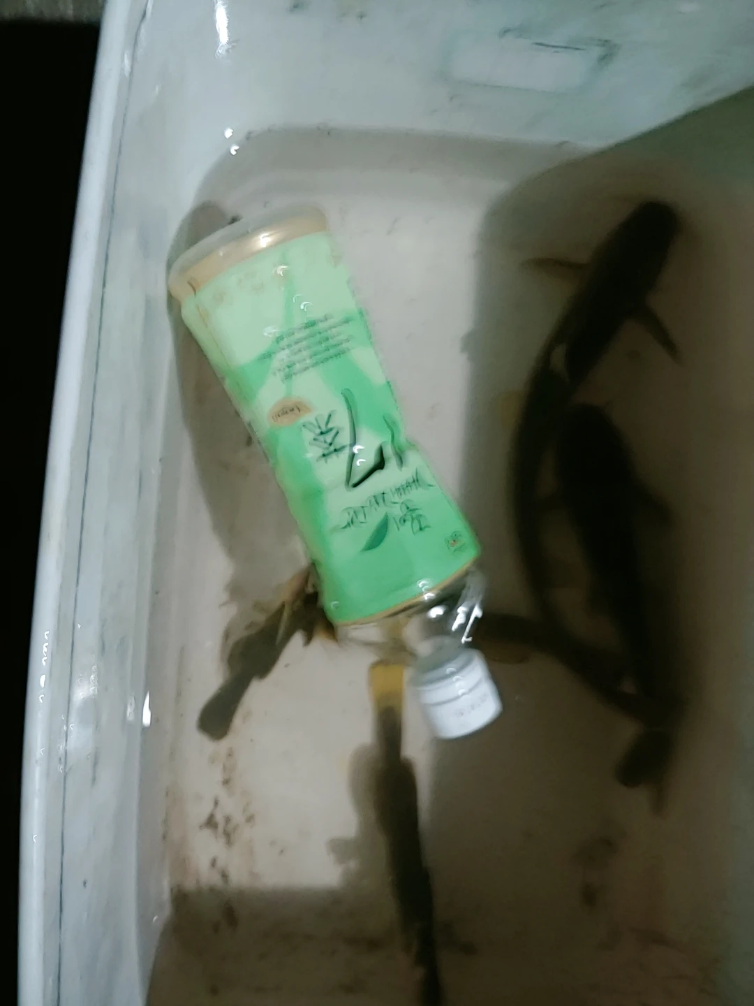 양평 (노지.양어장)낚시정보 공유방 | 당근 모임
