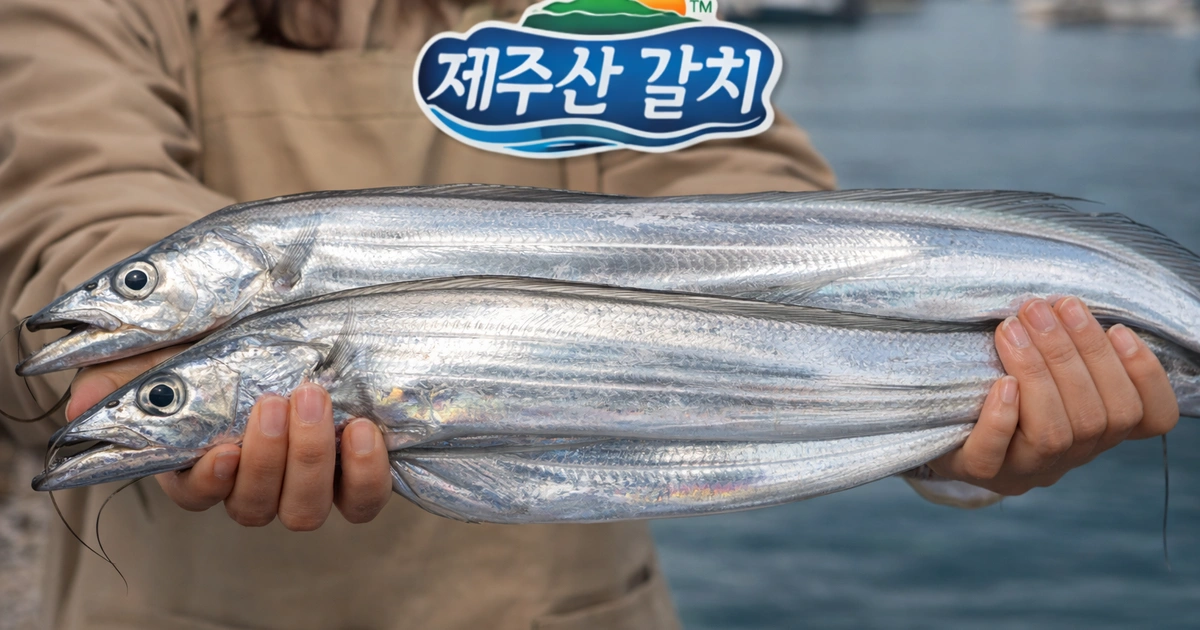 제주산 초대왕 생물 은갈치 20마리 3만원대💥 | 부산광역시 해운대구 우동 | 식료품점 | 당근 비즈 소식