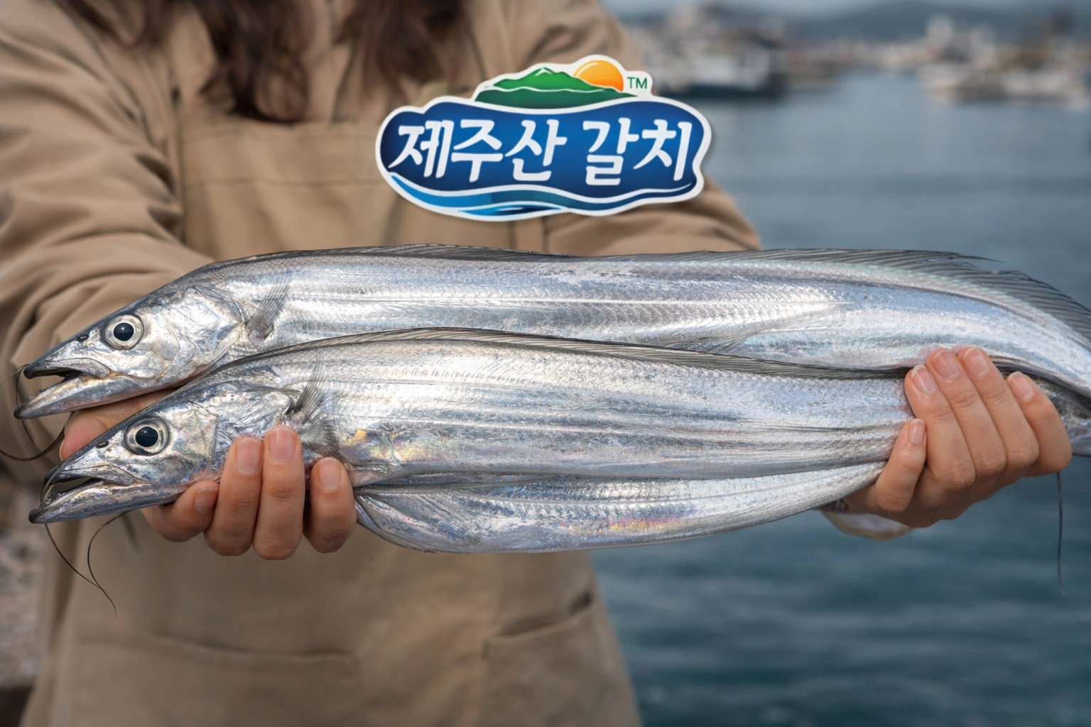 제주산 초대왕 생물 은갈치 20마리 3만원대💥 | 부산광역시 해운대구 우동 | 식료품점 | 당근 비즈 소식