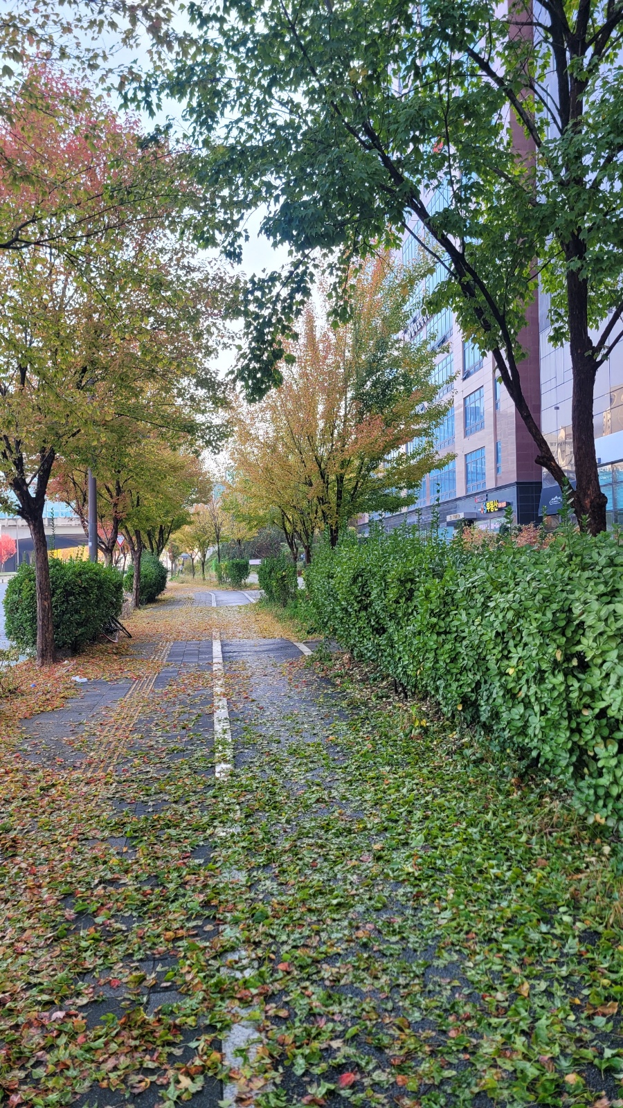 고객응대 변경업무입니다 (초보,주부가능) 공고 썸네일