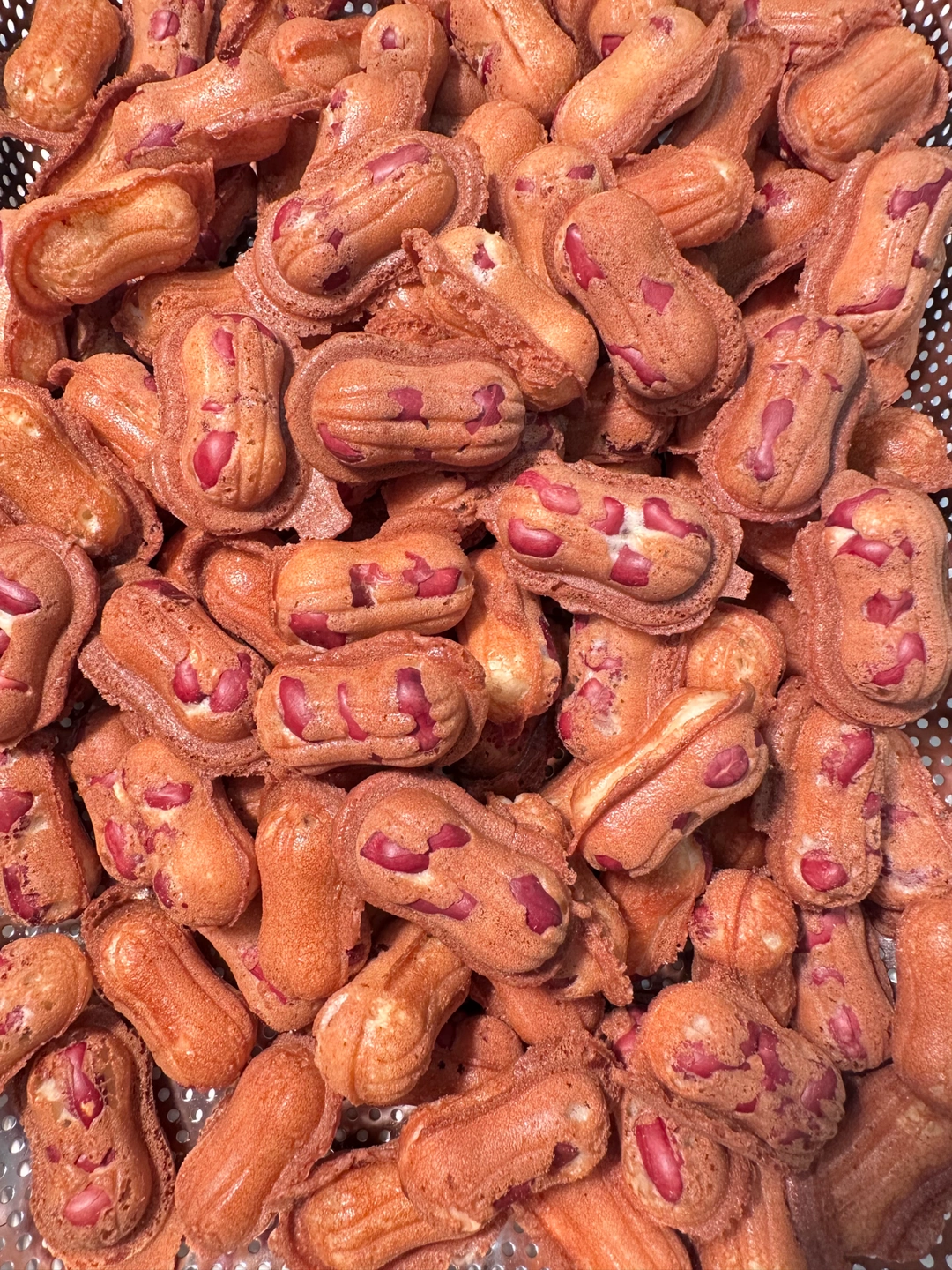 포항 롯데백화점 땅콩빵 팝업 알바 구합니다