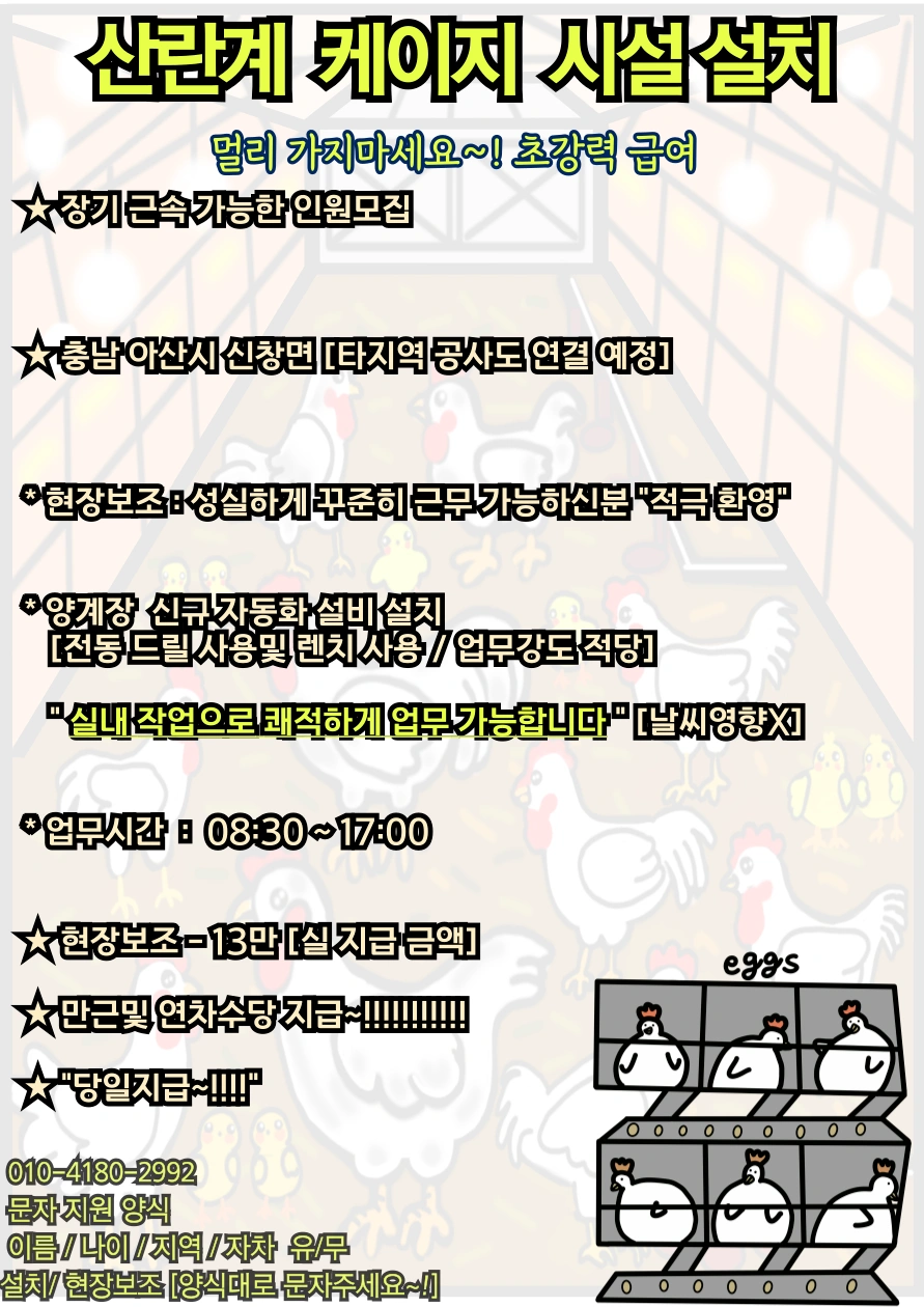 (당일지급13만)산란케이지/설치/조립 인원모집