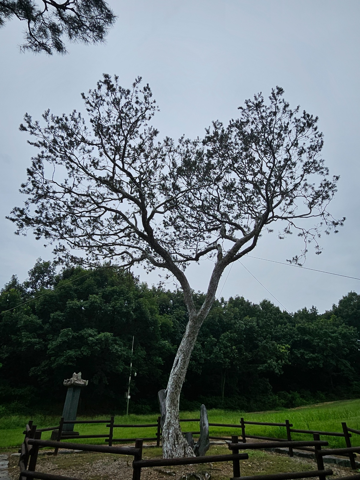 영업 및 사무직 공고 썸네일