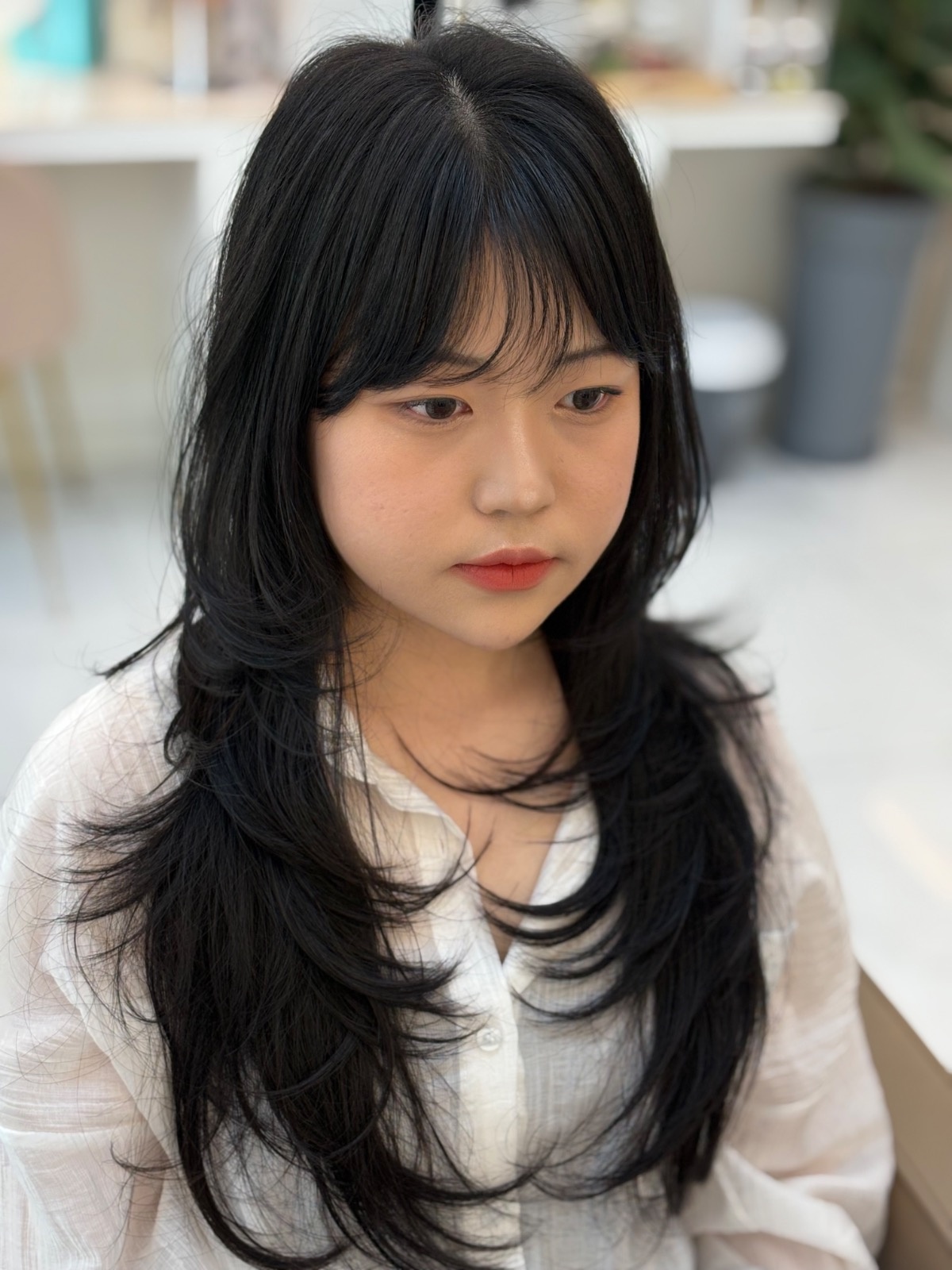 레이어드컷 하실분 공고 썸네일