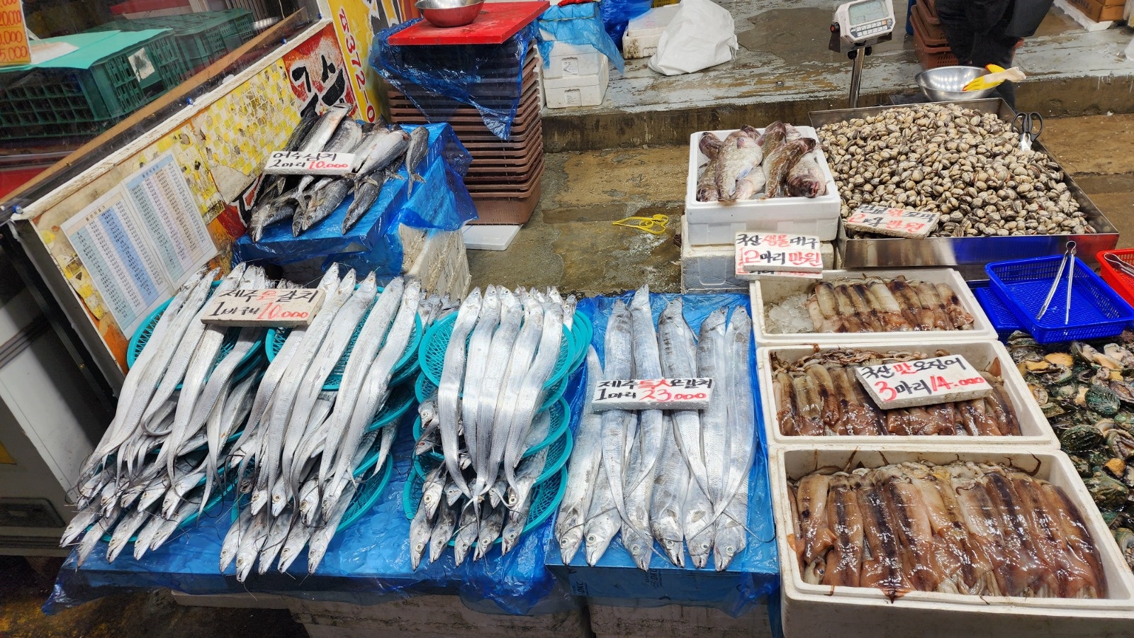 오색시장 수산 판매 및 관리직원 모집합니다. 공고 썸네일