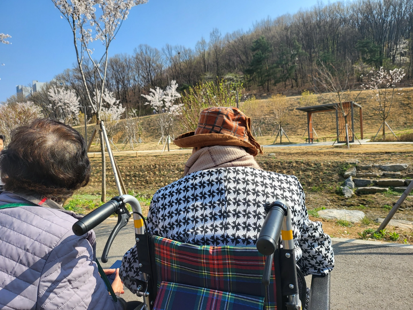 토요일 요양사 구해요