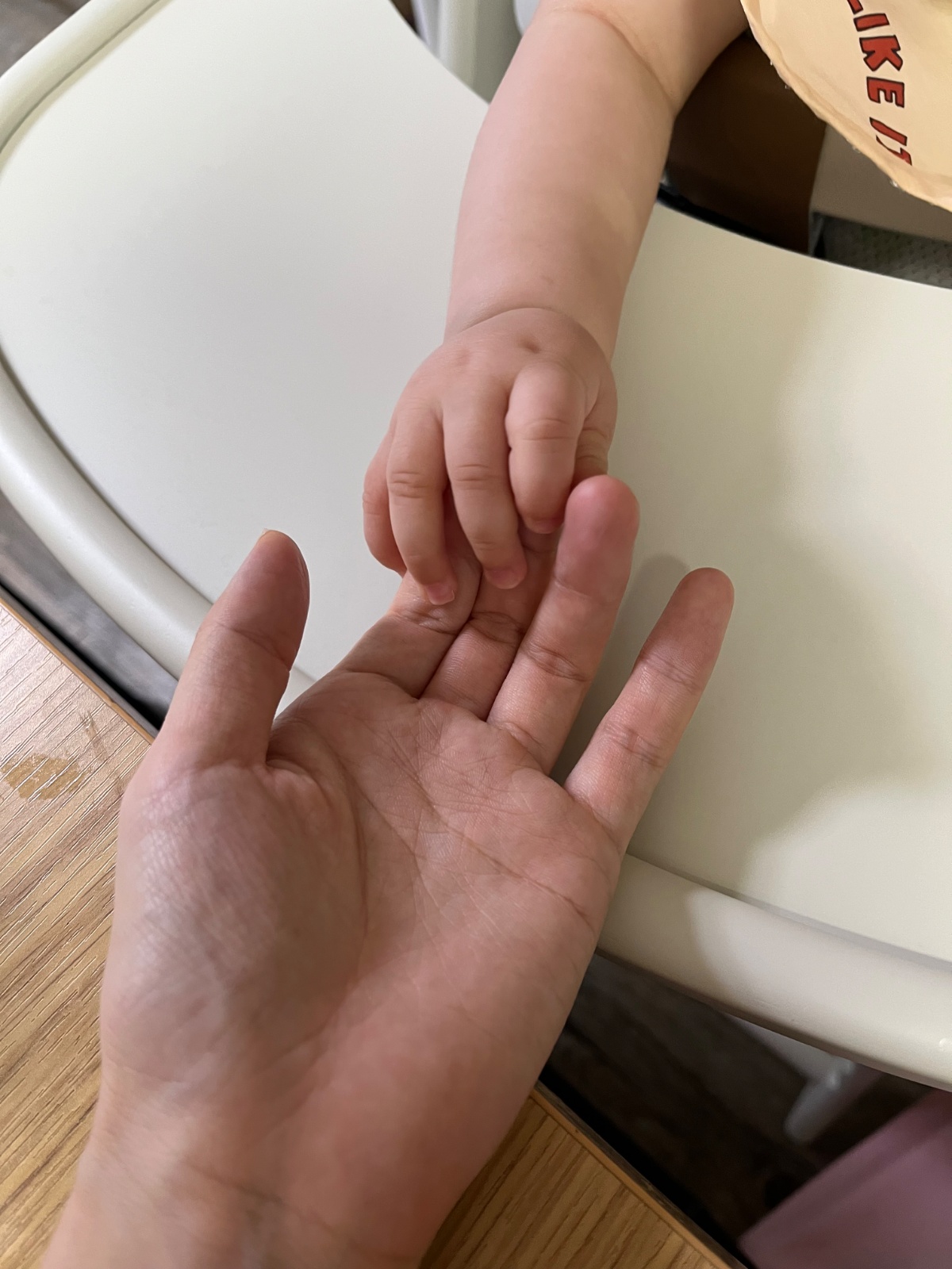 10개월 남아 베이비시터(주3회) 공고 썸네일