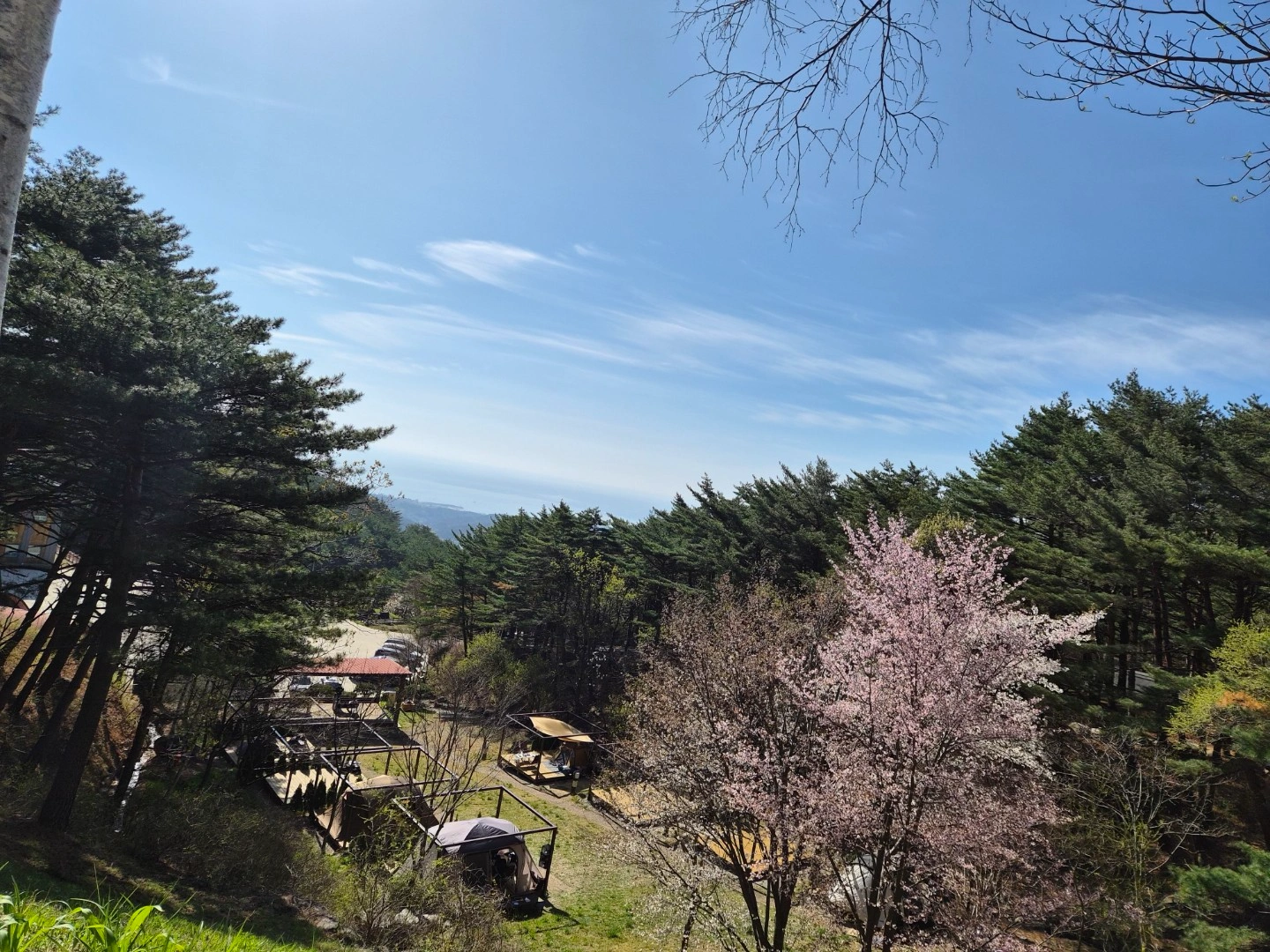 일요일 및 평일 객실청소