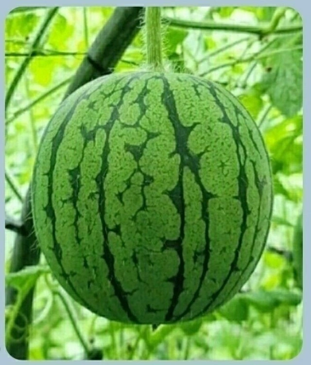 직원모집합니다