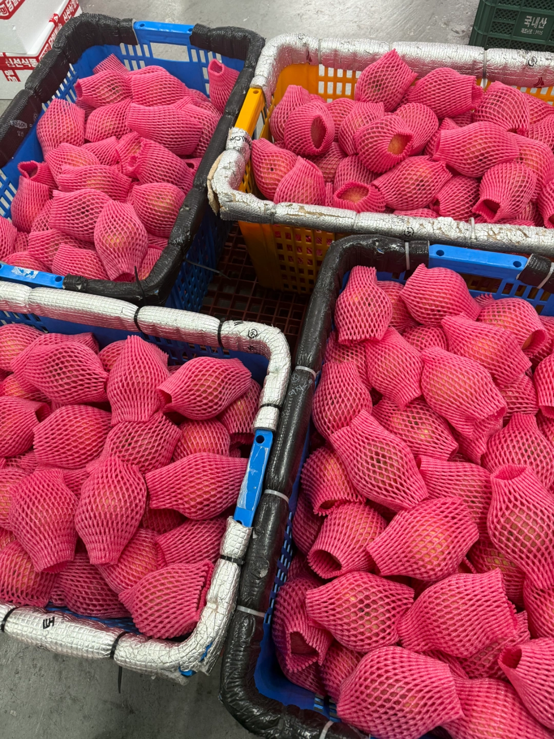 과일 택배 포장