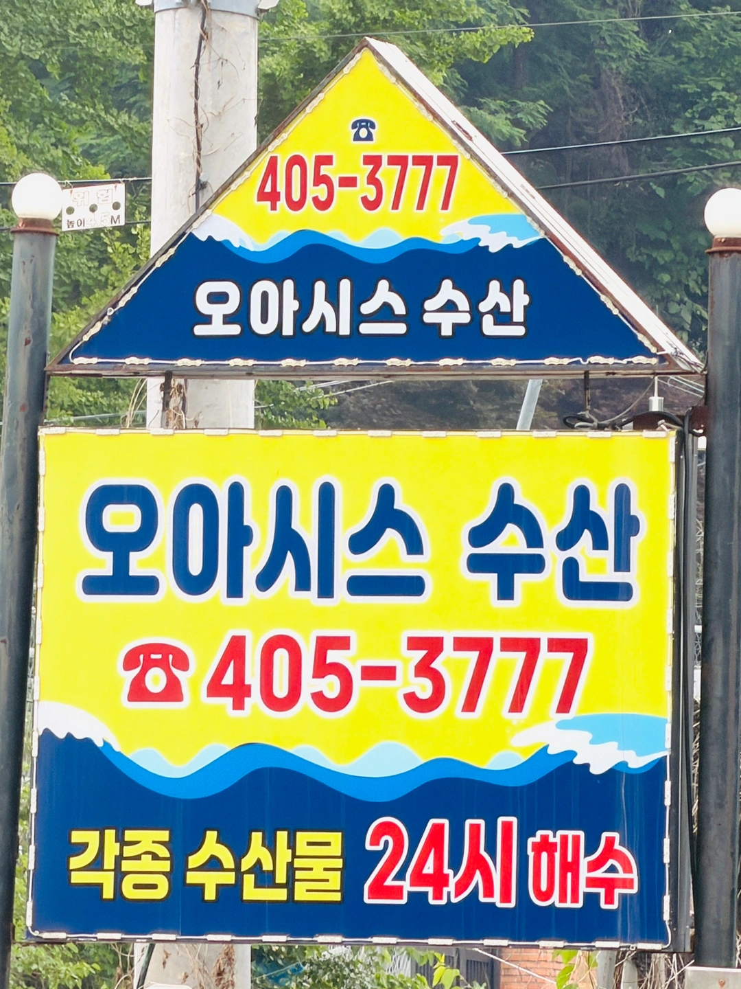 오아시스 수산 직원 모집