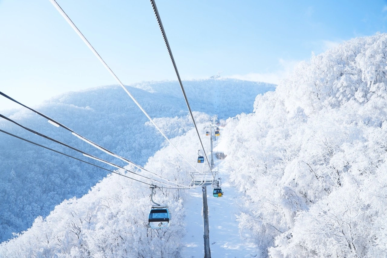 휴먼빌 서비스 사원모집 (용평리조트 내)