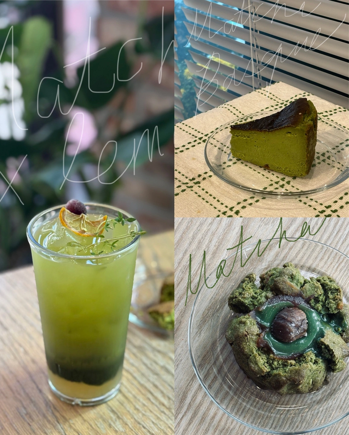 카페보조알바