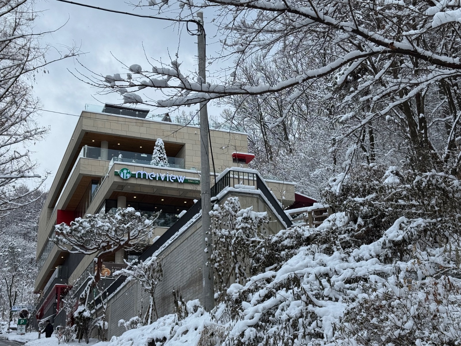 대전 보문간 대형카페 멜뷰에서 주말 알바 구합니다. 공고 썸네일