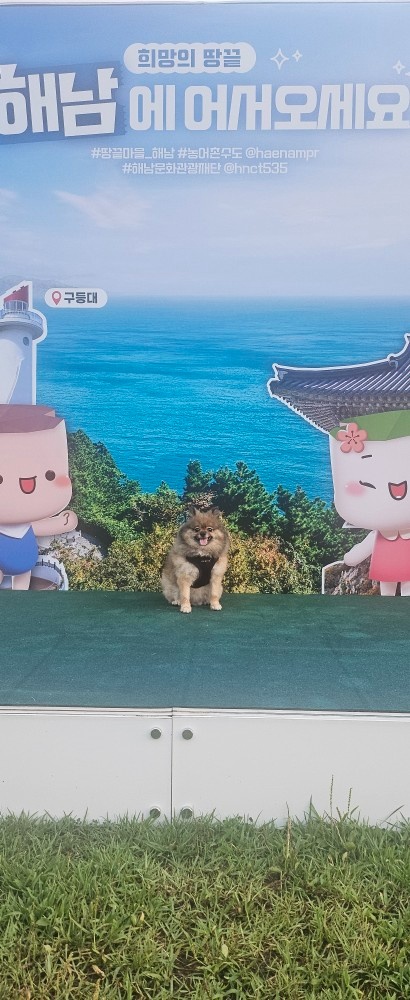 가사청소 알바 공고 썸네일