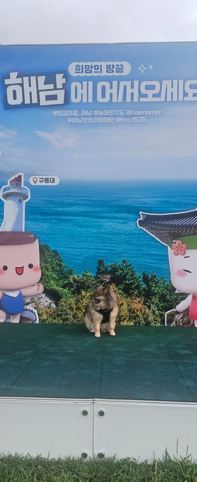 가사청소 알바 공고 썸네일