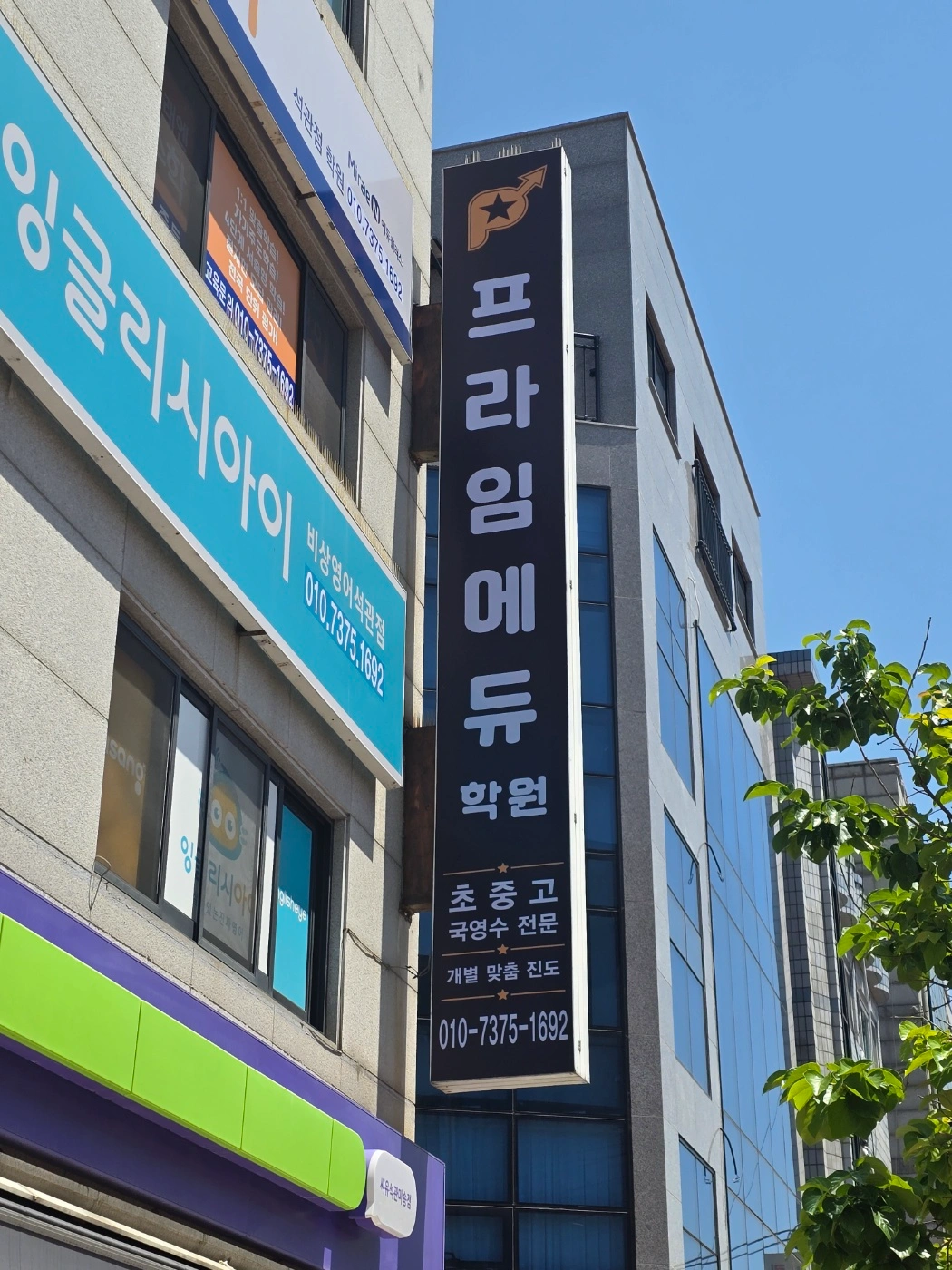 중1-3 과학 내신 대비 선생님 구합니다