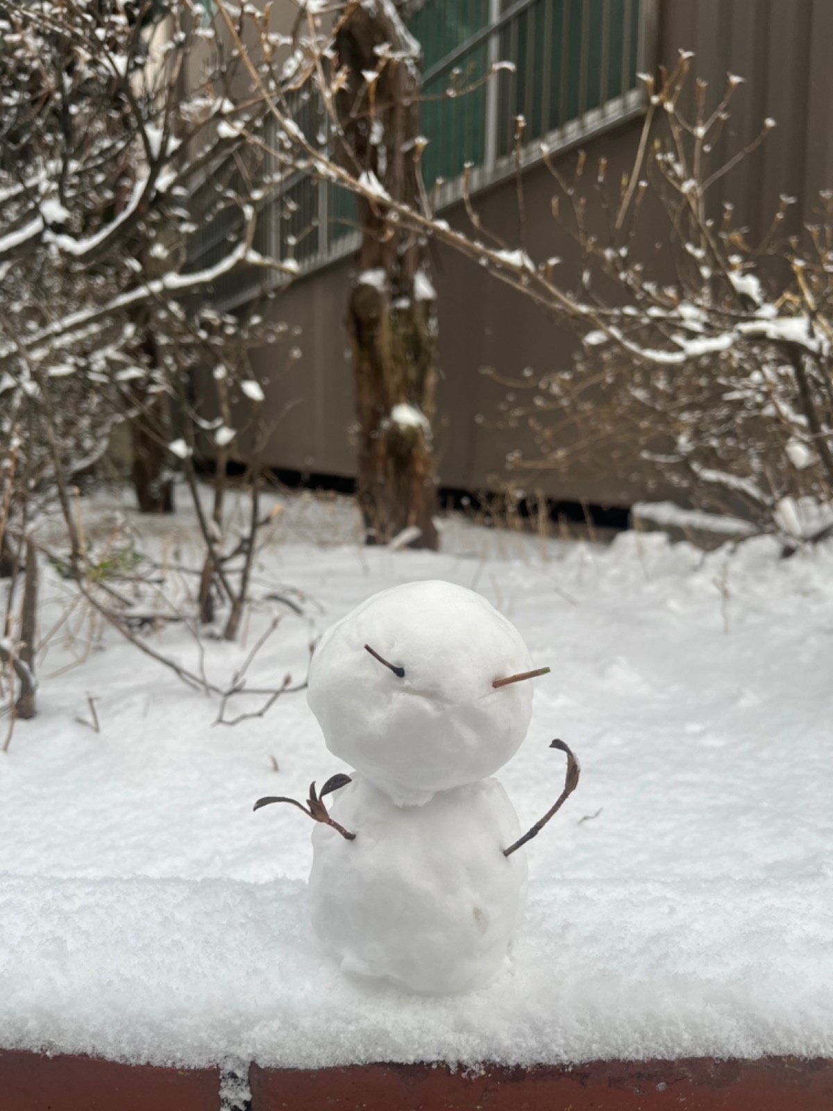 (급구)시터님 구해요~! 공고 썸네일