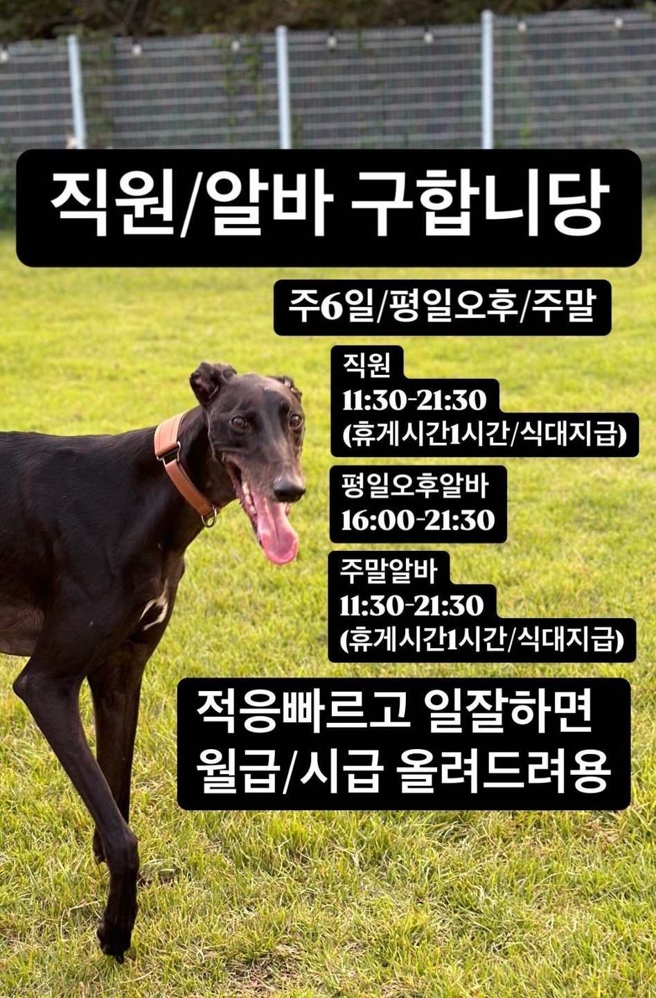 일도1동 동문 닭강정 아르바이트 장소