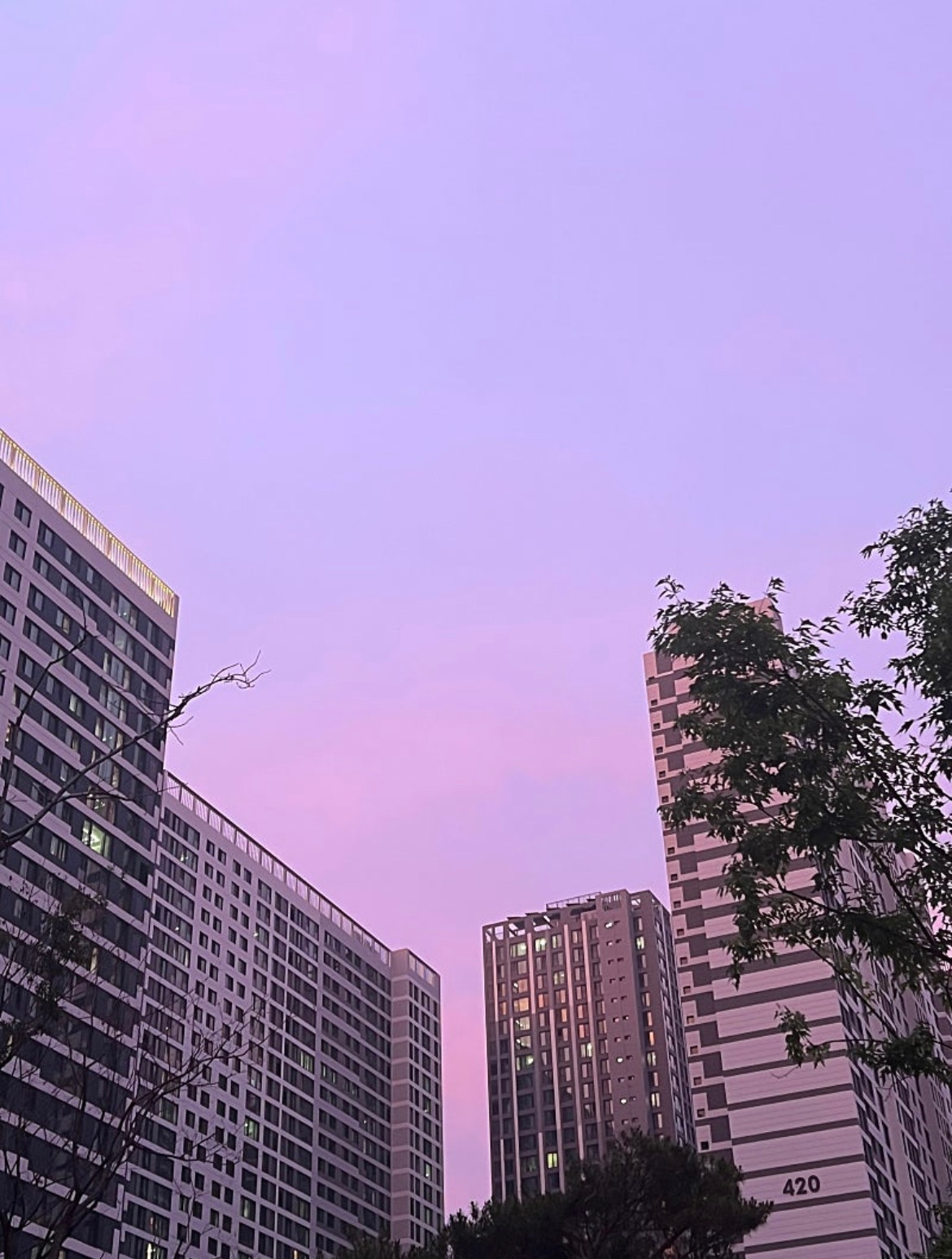 가사도움주실분 구합니다(주1회) 공고 썸네일