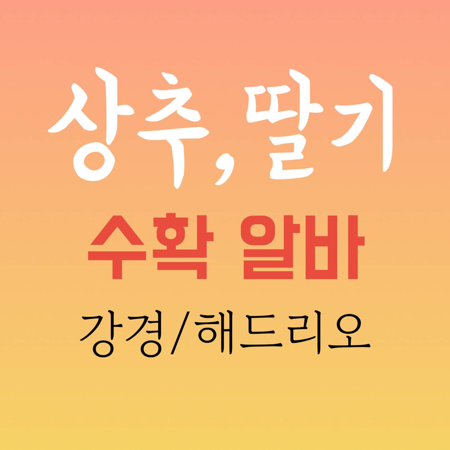 알바