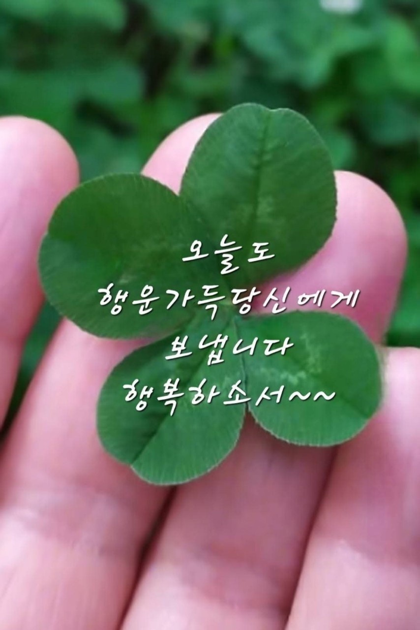 배우면서 일하실분 !!! 공고 썸네일