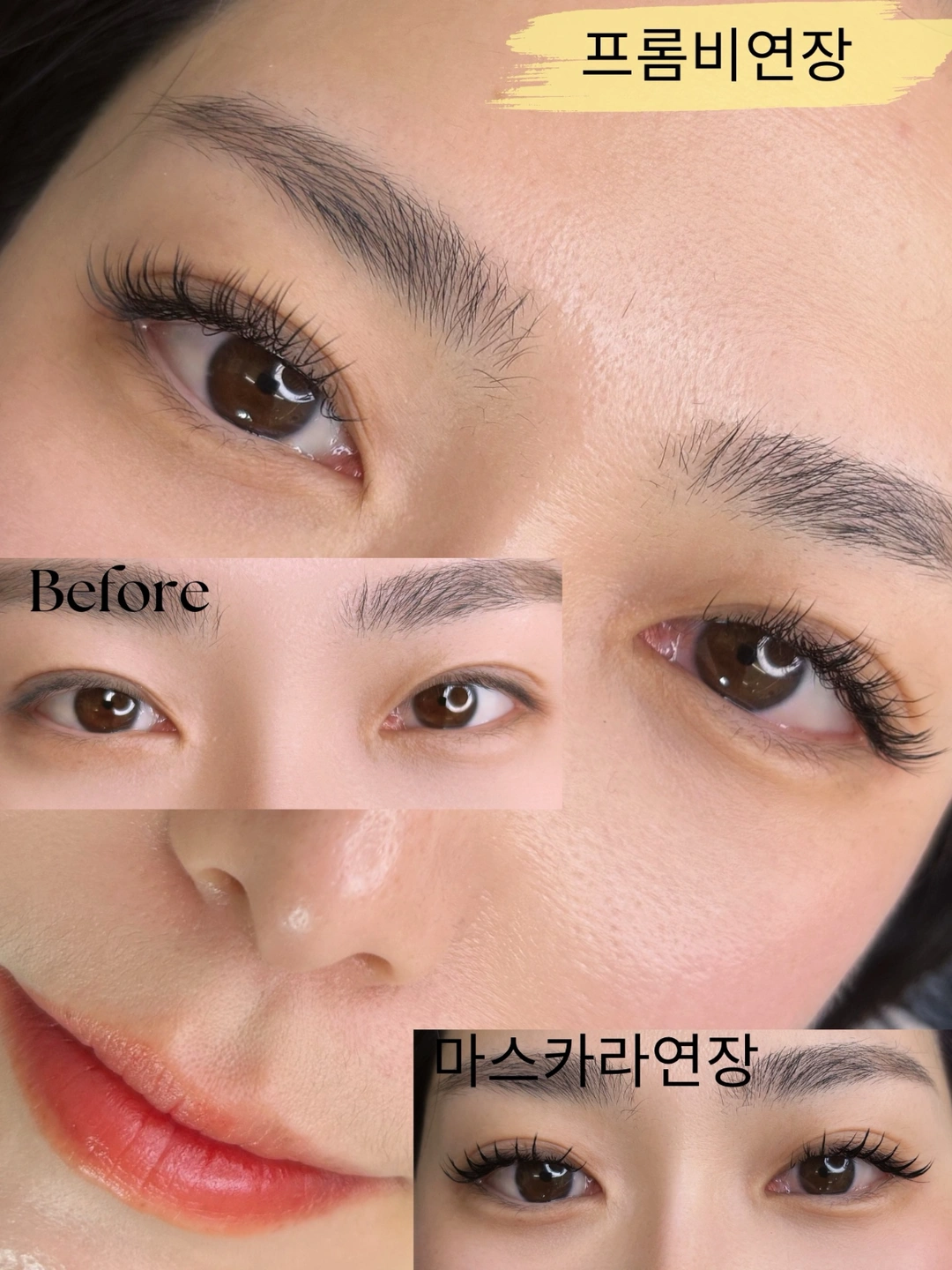 속눈썹 연장 모델 구합니다