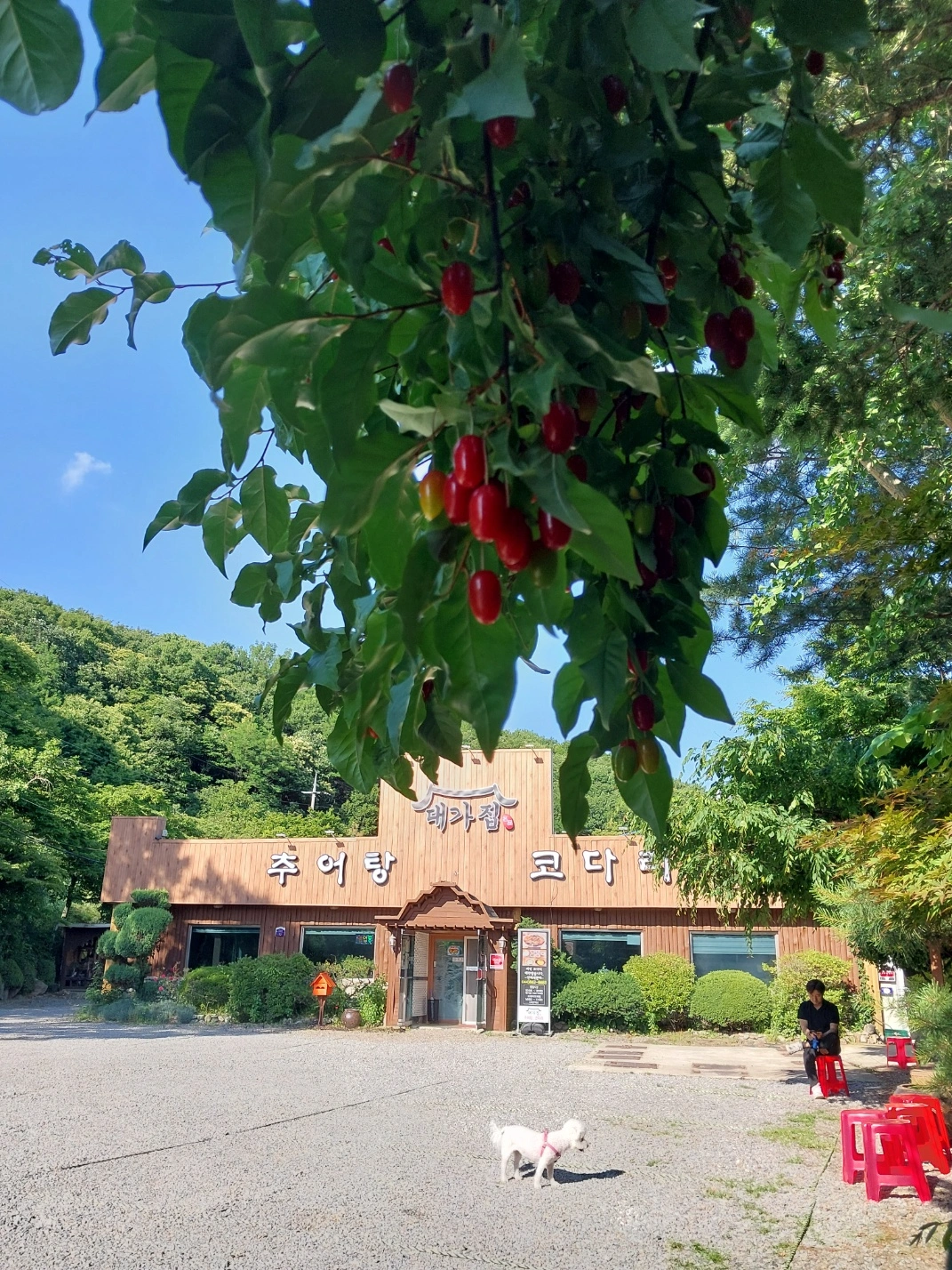 홀써빙 구합니다
