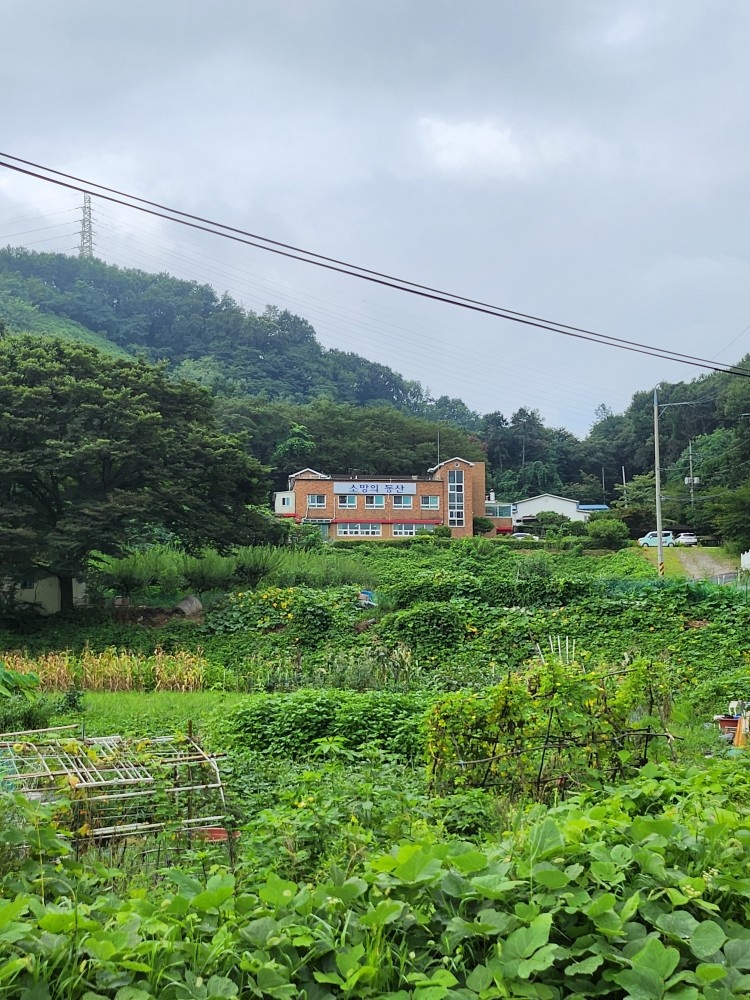 요양보호사구인 공고 썸네일