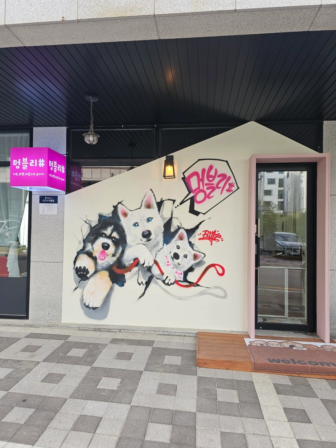 멍블리샵에서 선생님 모셔요