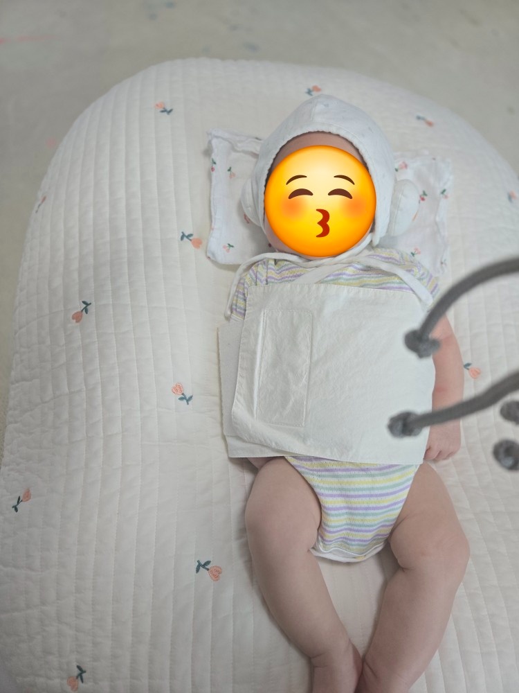 아이돌봄(25년 6월생)+가사 도움주실 선생님 모십니다 공고 썸네일