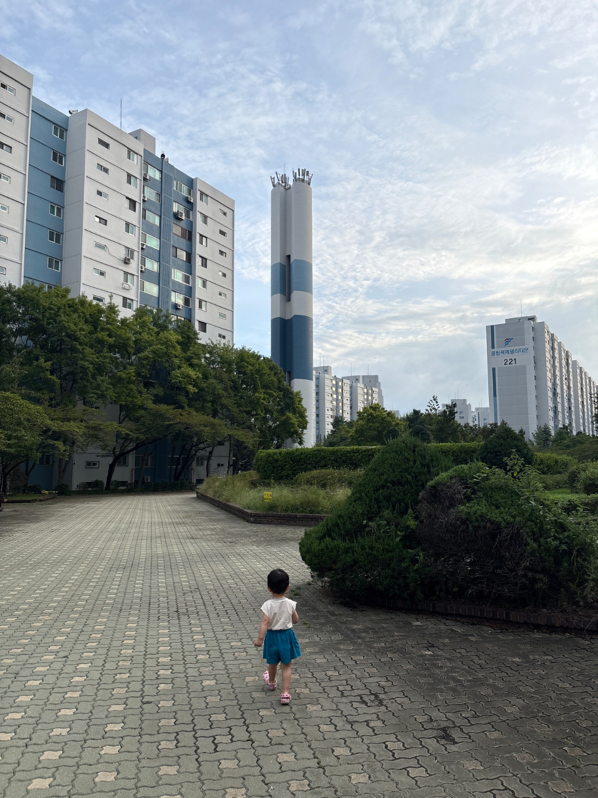 두돌 남아 하원 도우미 시터 선생님 구합니다 공고 썸네일
