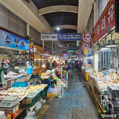플로깅행사 진행보조