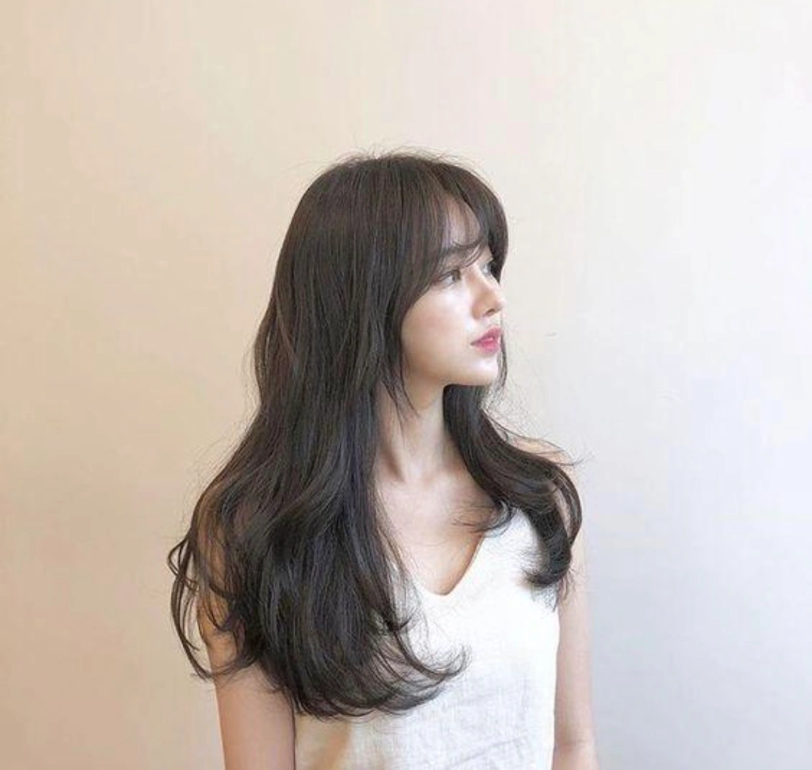 영상 사진촬영가능한 (컷+펌 여자 헤어모델구인합니다)