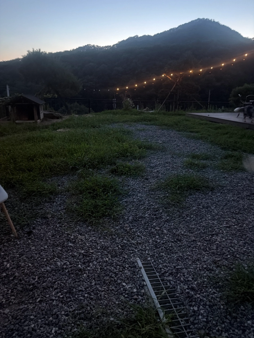 정원 잡초 뽑아 주실 분 찾습니다