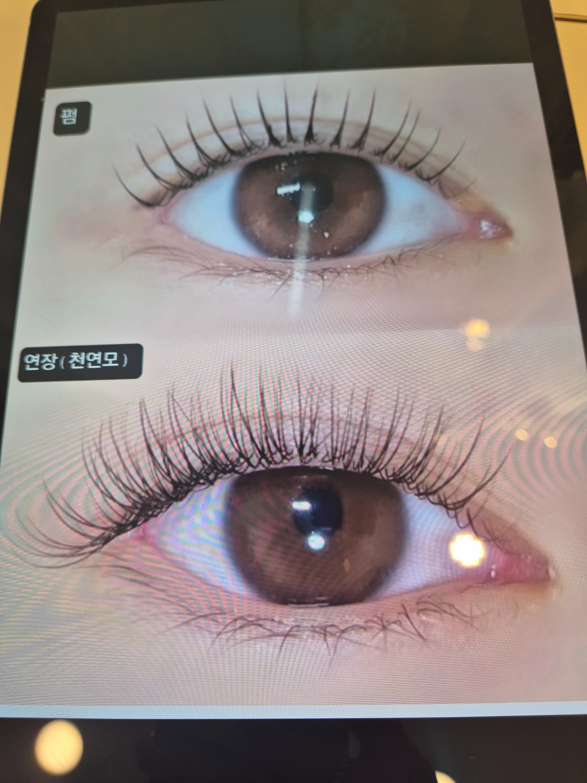 속눈썹펌 홍보용 무료시술모델 공고 썸네일