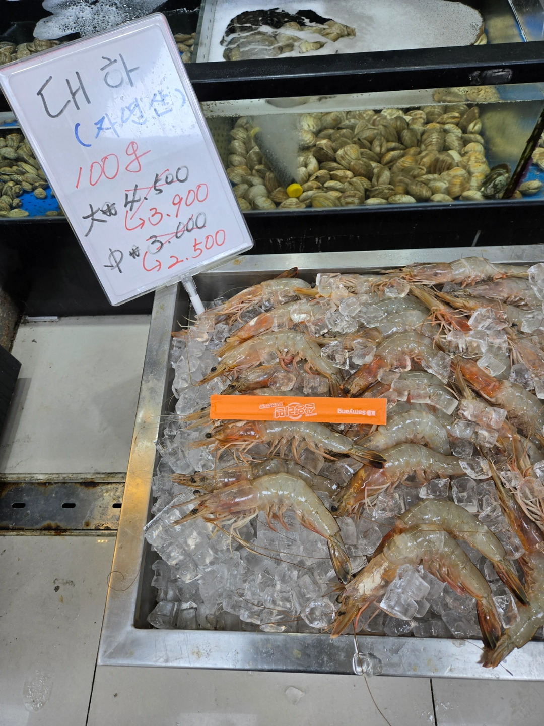 수산코너 실장님구함