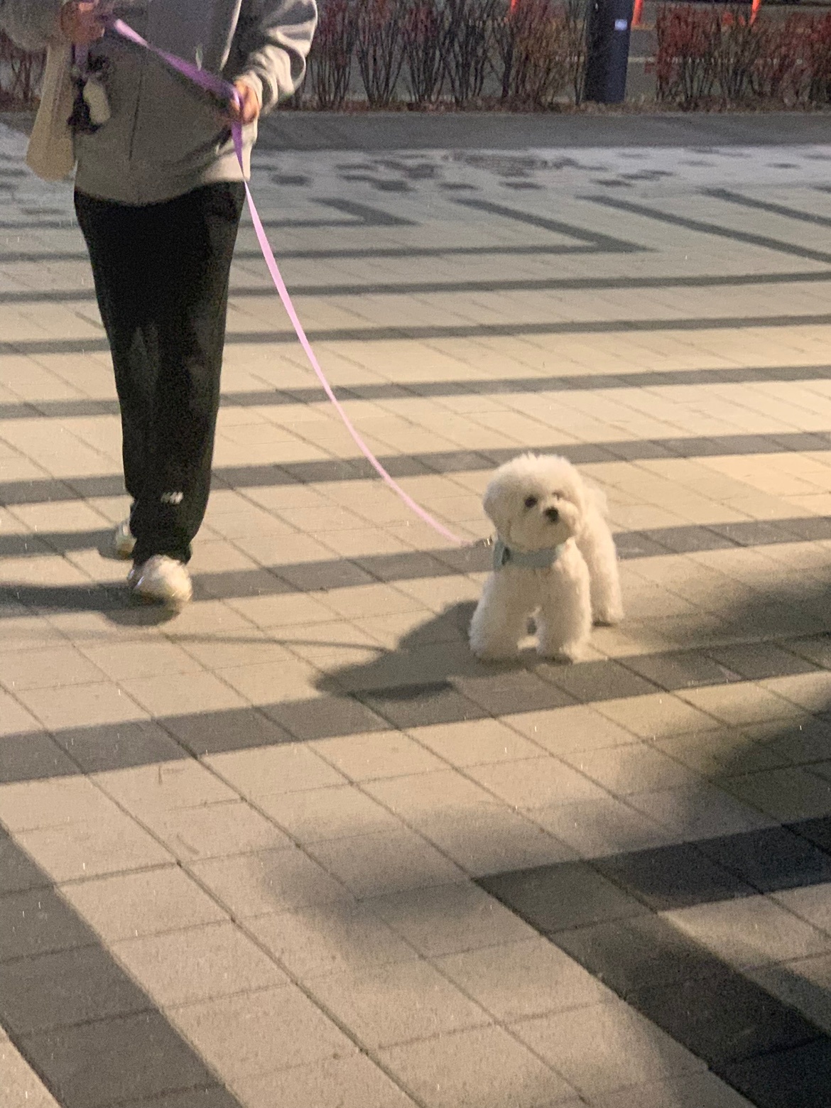 성인 영어회화 과외선생님 구합니다. 공고 썸네일