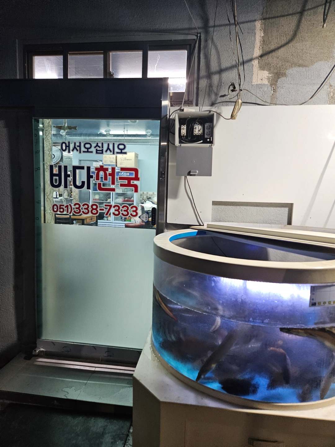 바다천국 홀,주방 구인(횟집경력만)