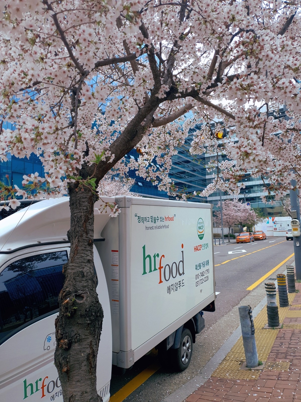 에치알푸드 축산물&납품영업  영업사원 채용 공고 썸네일